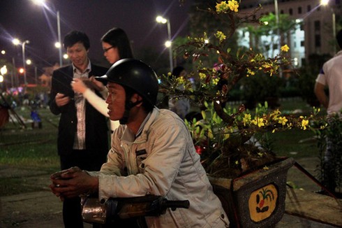 Bán tháo hoa cảnh Tết trước Giao Thừa - ảnh 8